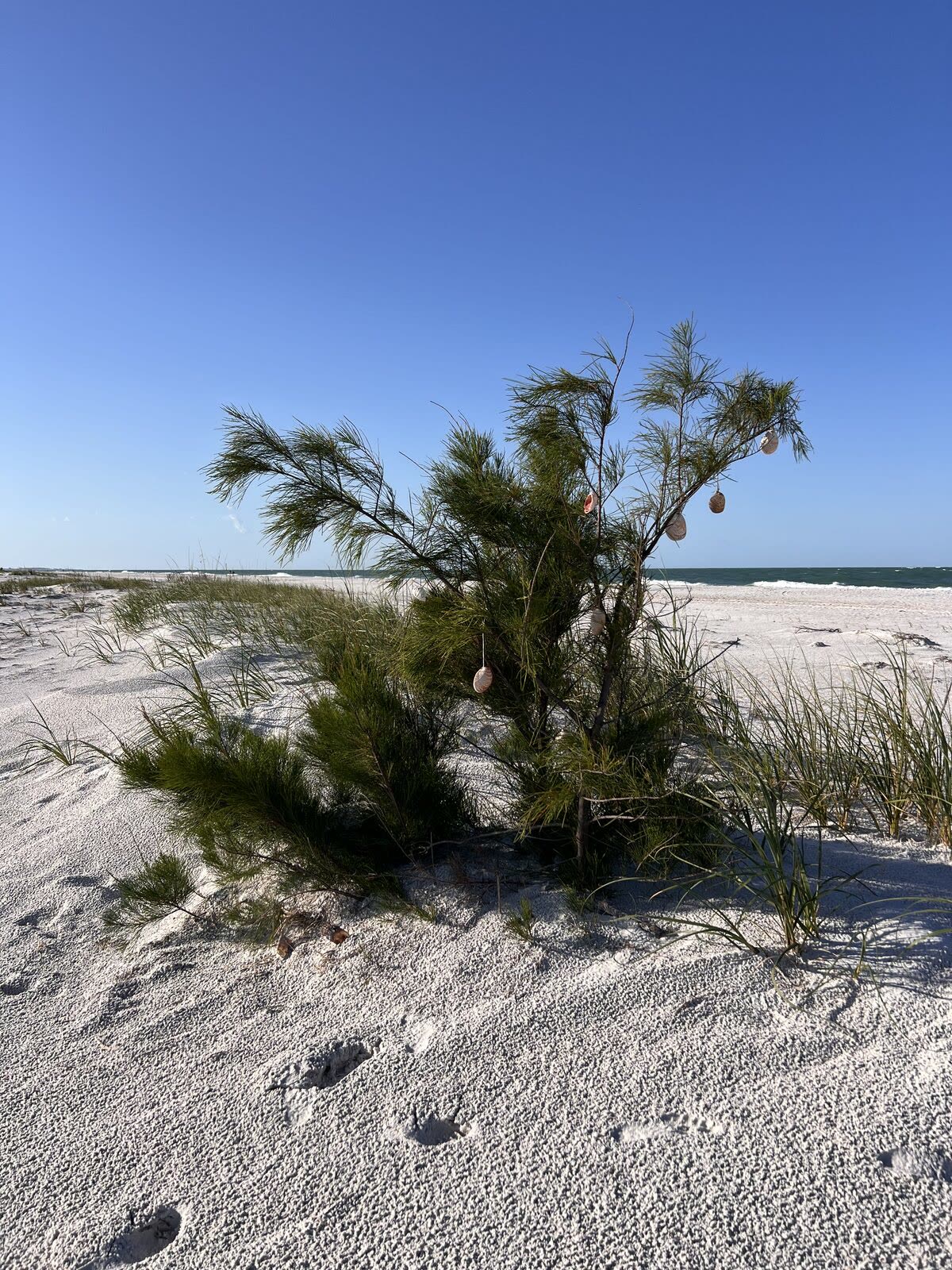 Windswept dunes and white sand on the island's quiet north end.