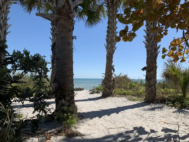 The AMI Beach Guide: Rules, Safety & Local Quirks