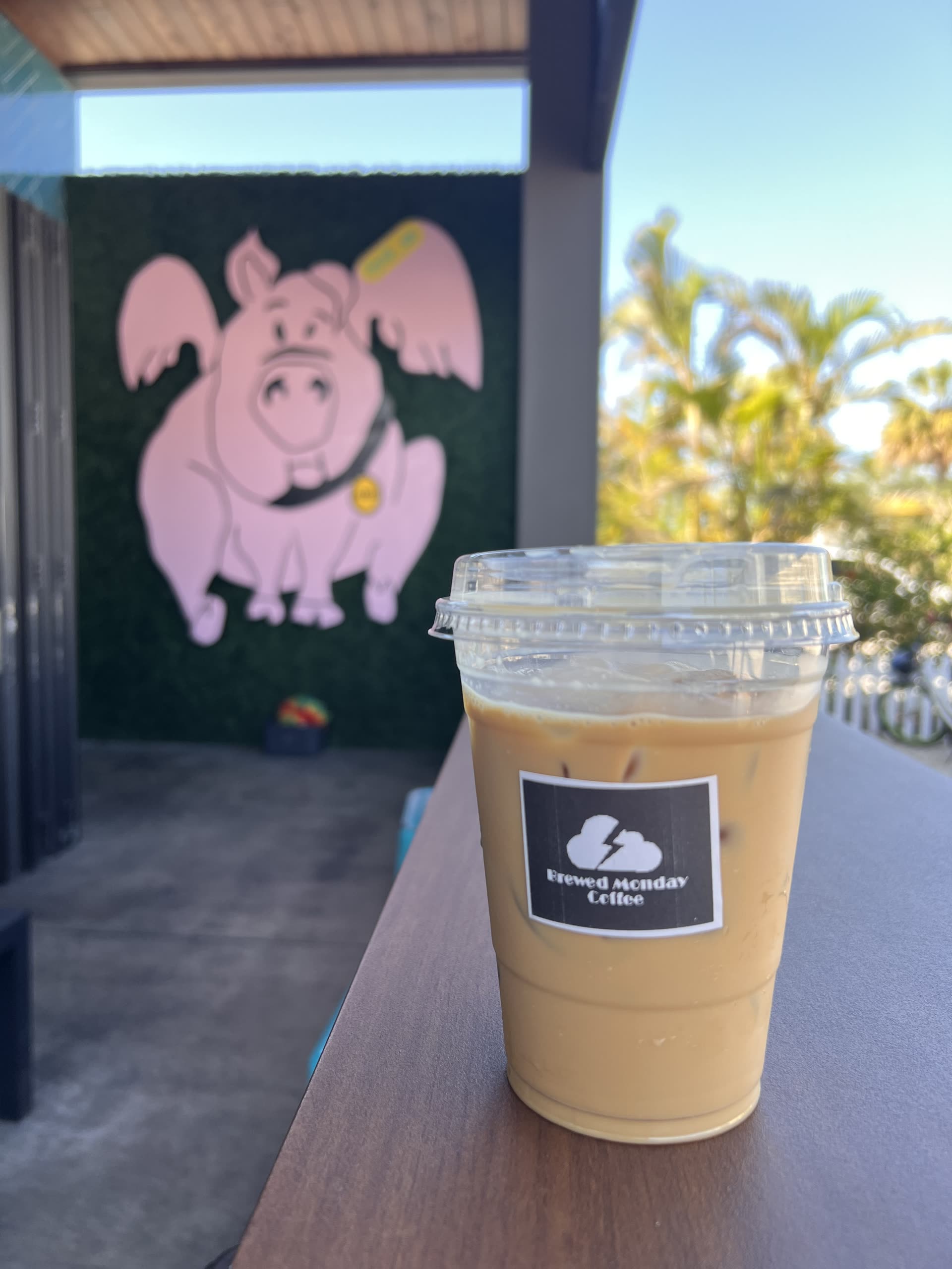 Top 5 Coffee Shops on the Island