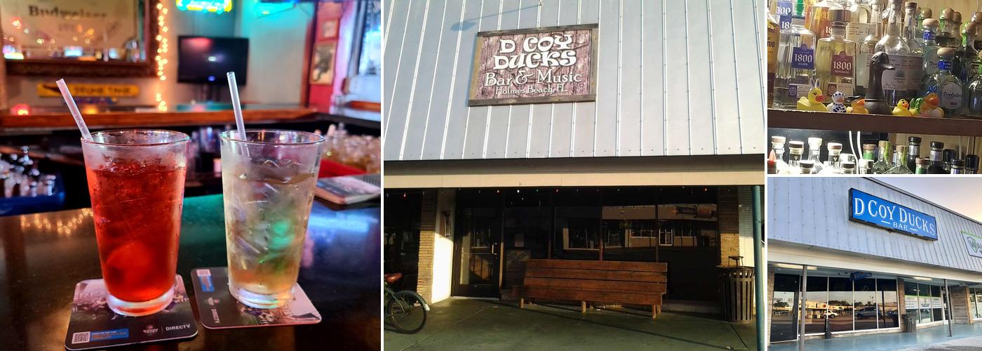 D.Coy Ducks