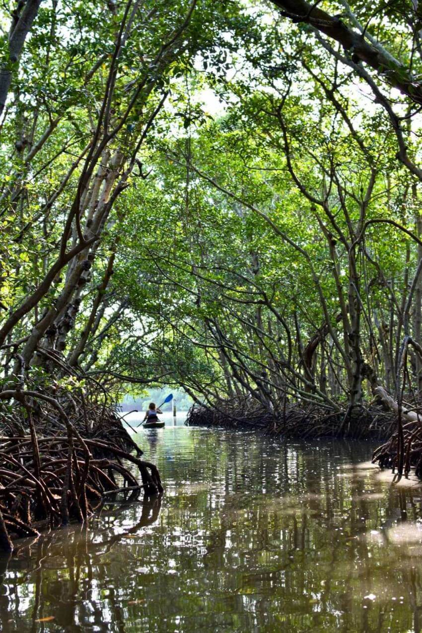 Happy Paddler Kayak Tours