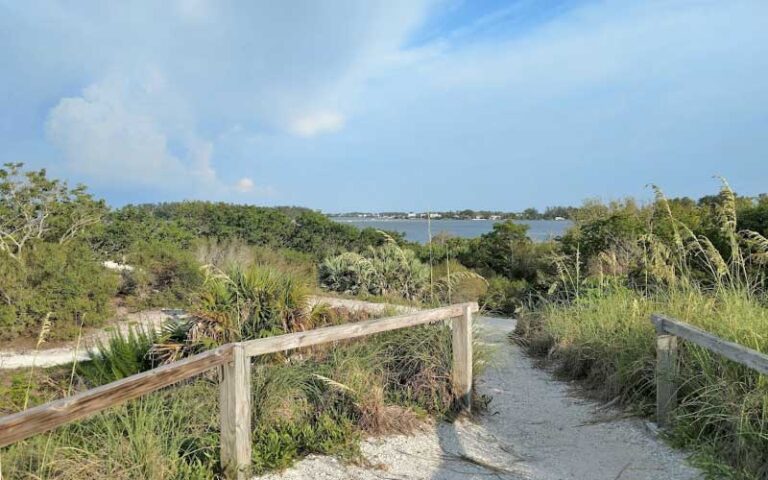 Leffis Key Preserve