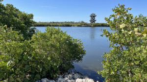 Robinson Preserve