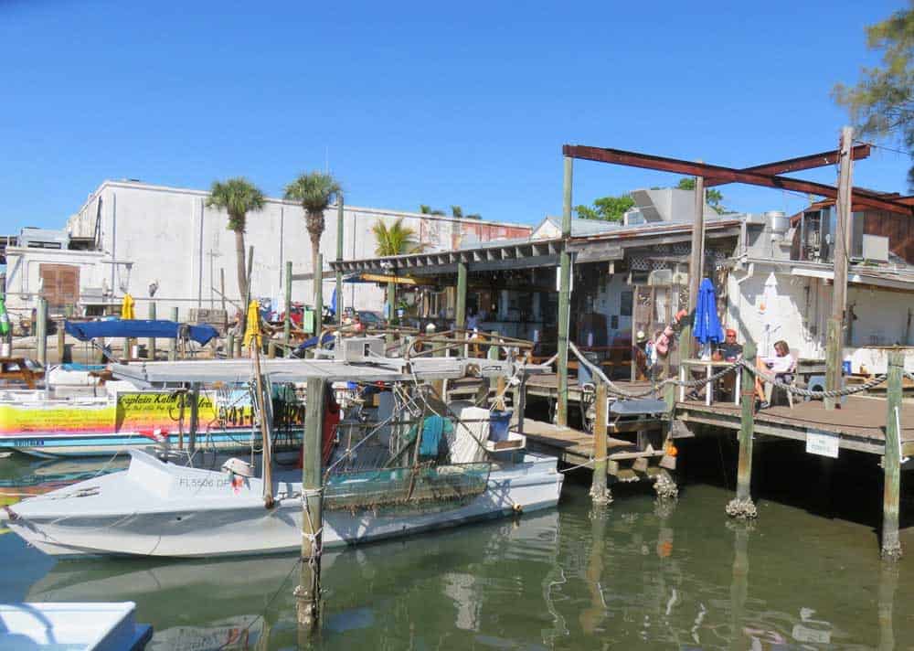 Star Fish Company