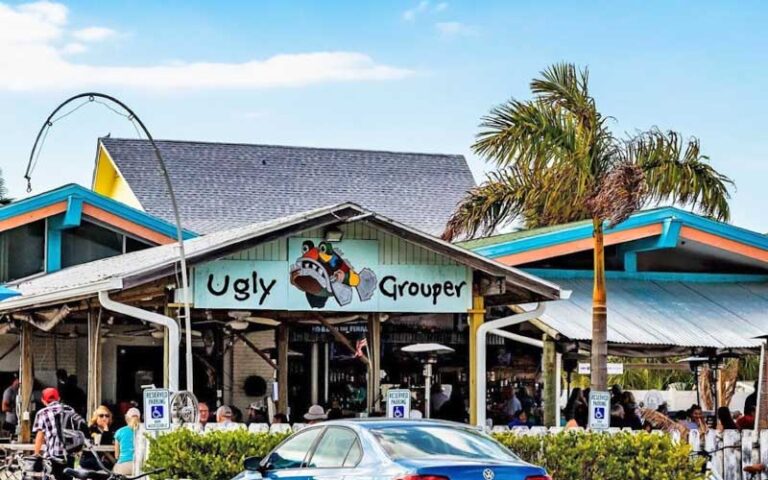 The Ugly Grouper